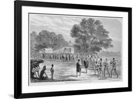 Bringing Ivory to the Wagons in South Africa-Thomas Baines-Framed Giclee Print