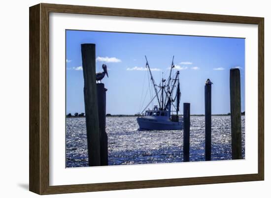 Bringing the Catch in II-Alan Hausenflock-Framed Photographic Print