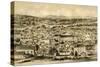 Brisbane, Queensland, Australia, 1879-McFarlane and Erskine-Stretched Canvas