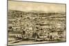 Brisbane, Queensland, Australia, 1879-McFarlane and Erskine-Mounted Giclee Print