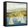 Brisk Winds-Jil Martin-Framed Stretched Canvas