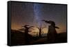 Bristlecone pine, Ancient Bristlecone Pine Forest, White Mountains, California-Art Wolfe-Framed Stretched Canvas