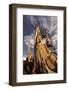 Bristlecone pine at sunset, White Mountains, Inyo National Forest, California-Adam Jones-Framed Photographic Print