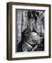 Bristlecone Pine, California, 1977-Brett Weston-Framed Photographic Print