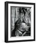 Bristlecone Pine, California, 1977-Brett Weston-Framed Photographic Print