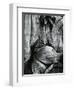 Bristlecone Pine, California, 1977-Brett Weston-Framed Photographic Print