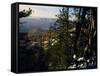 Bristlecone Pines Above Cedar Breaks at Sunset in Wintercedar Breaks National Monument, Utah, USA-Scott T. Smith-Framed Stretched Canvas