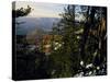 Bristlecone Pines Above Cedar Breaks at Sunset in Wintercedar Breaks National Monument, Utah, USA-Scott T. Smith-Stretched Canvas