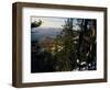 Bristlecone Pines Above Cedar Breaks at Sunset in Wintercedar Breaks National Monument, Utah, USA-Scott T. Smith-Framed Photographic Print