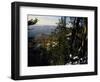 Bristlecone Pines Above Cedar Breaks at Sunset in Wintercedar Breaks National Monument, Utah, USA-Scott T. Smith-Framed Photographic Print