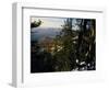 Bristlecone Pines Above Cedar Breaks at Sunset in Wintercedar Breaks National Monument, Utah, USA-Scott T. Smith-Framed Photographic Print