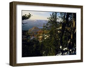 Bristlecone Pines Above Cedar Breaks at Sunset in Wintercedar Breaks National Monument, Utah, USA-Scott T. Smith-Framed Photographic Print