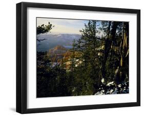 Bristlecone Pines Above Cedar Breaks at Sunset in Wintercedar Breaks National Monument, Utah, USA-Scott T. Smith-Framed Photographic Print