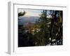 Bristlecone Pines Above Cedar Breaks at Sunset in Wintercedar Breaks National Monument, Utah, USA-Scott T. Smith-Framed Photographic Print