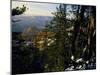 Bristlecone Pines Above Cedar Breaks at Sunset in Wintercedar Breaks National Monument, Utah, USA-Scott T. Smith-Mounted Photographic Print