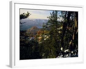 Bristlecone Pines Above Cedar Breaks at Sunset in Wintercedar Breaks National Monument, Utah, USA-Scott T. Smith-Framed Photographic Print