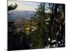 Bristlecone Pines Above Cedar Breaks at Sunset in Wintercedar Breaks National Monument, Utah, USA-Scott T. Smith-Mounted Photographic Print