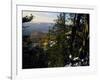 Bristlecone Pines Above Cedar Breaks at Sunset in Wintercedar Breaks National Monument, Utah, USA-Scott T. Smith-Framed Photographic Print