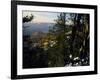 Bristlecone Pines Above Cedar Breaks at Sunset in Wintercedar Breaks National Monument, Utah, USA-Scott T. Smith-Framed Photographic Print