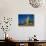 Bristlecone Pines-James Randklev-Stretched Canvas displayed on a wall