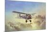 Bristol Bulldog-Barrie A F Clark-Mounted Giclee Print