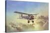 Bristol Bulldog-Barrie A F Clark-Stretched Canvas