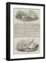 Bristol Channel Regatta-null-Framed Giclee Print