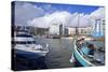 Bristol Harbour, Bristol, England, United Kingdom, Europe-Rob Cousins-Stretched Canvas