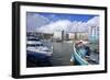 Bristol Harbour, Bristol, England, United Kingdom, Europe-Rob Cousins-Framed Photographic Print