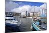 Bristol Harbour, Bristol, England, United Kingdom, Europe-Rob Cousins-Mounted Photographic Print