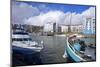 Bristol Harbour, Bristol, England, United Kingdom, Europe-Rob Cousins-Mounted Photographic Print