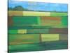 Britainy Fields-Herb Dickinson-Stretched Canvas