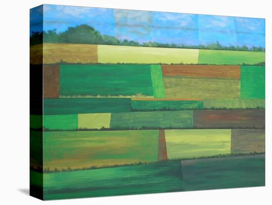 Britainy Fields-Herb Dickinson-Stretched Canvas
