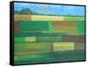 Britainy Fields-Herb Dickinson-Framed Stretched Canvas