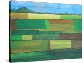 Britainy Fields-Herb Dickinson-Stretched Canvas