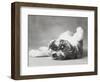 Britdog 2-Rachael Hale-Framed Photographic Print