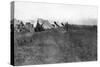 British 1/5 Rwr Camp, Near Baghdad, 1918-null-Stretched Canvas