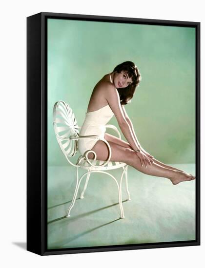 British actress Joan Collins 1956 (photo)-null-Framed Stretched Canvas