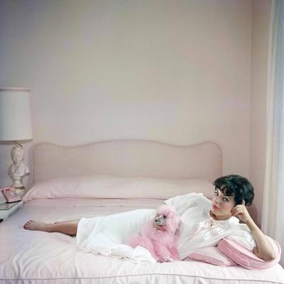 https://imgc.allpostersimages.com/img/posters/british-actress-joan-collins-in-a-pink-bedroom-with-a-pink-toy-poodle-photo_u-L-Q1C3NMU0.jpg?artPerspective=n