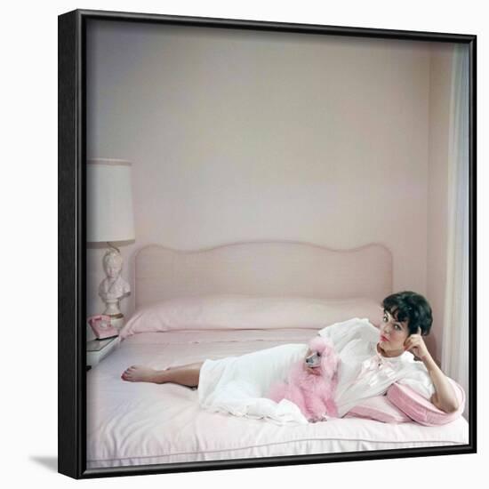 British actress Joan Collins in a pink bedroom with a pink toy poodle (photo)-null-Framed Photo