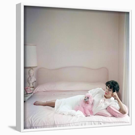 British actress Joan Collins in a pink bedroom with a pink toy poodle (photo)-null-Framed Photo