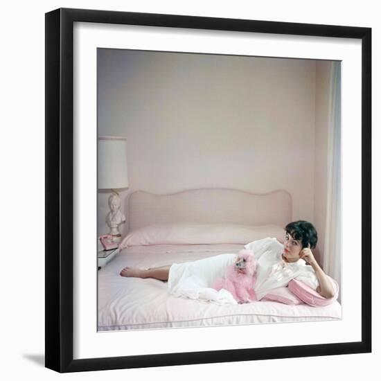 British actress Joan Collins in a pink bedroom with a pink toy poodle (photo)-null-Framed Photo