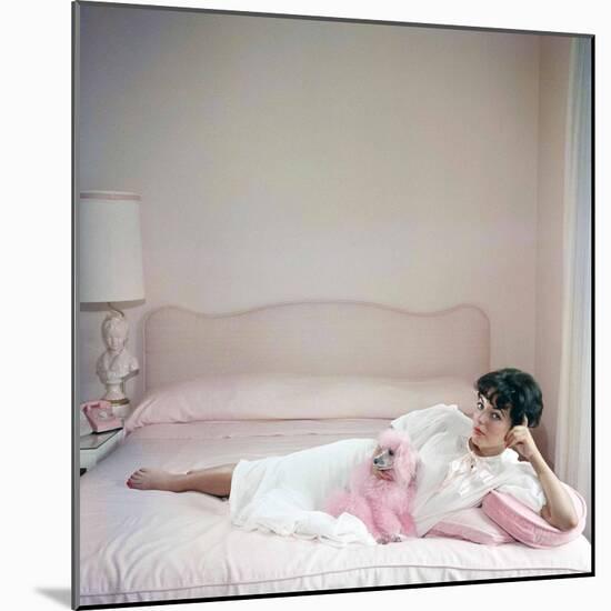 British actress Joan Collins in a pink bedroom with a pink toy poodle (photo)-null-Mounted Photo