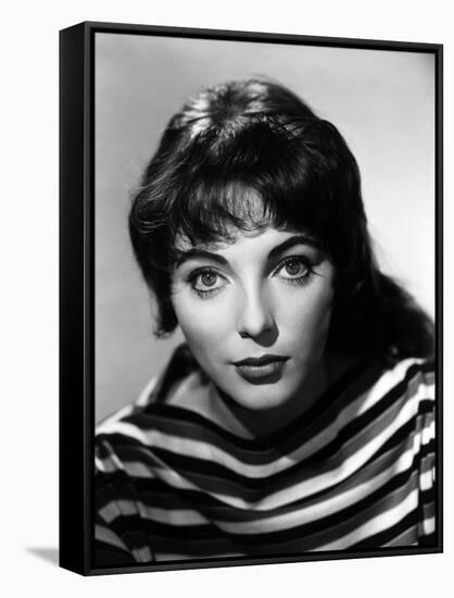 British actress Joan Collins in the 50's (b/w photo)-null-Framed Stretched Canvas