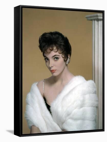 British actress Joan Collins in the 50's (photo)-null-Framed Stretched Canvas