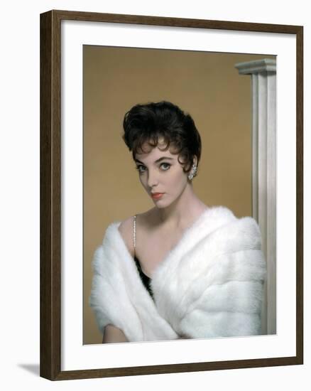 British actress Joan Collins in the 50's (photo)-null-Framed Photo