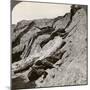 British and German Dead Near the Hohenzollern Redoubt, Lens, France, World War I, 1914-1918-null-Mounted Photographic Print