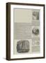 British Archaeological Association-null-Framed Giclee Print