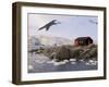 British Base, Port Lockroy, Antarctic Peninsula, Antarctica, Polar Regions-Sergio Pitamitz-Framed Photographic Print