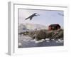 British Base, Port Lockroy, Antarctic Peninsula, Antarctica, Polar Regions-Sergio Pitamitz-Framed Photographic Print